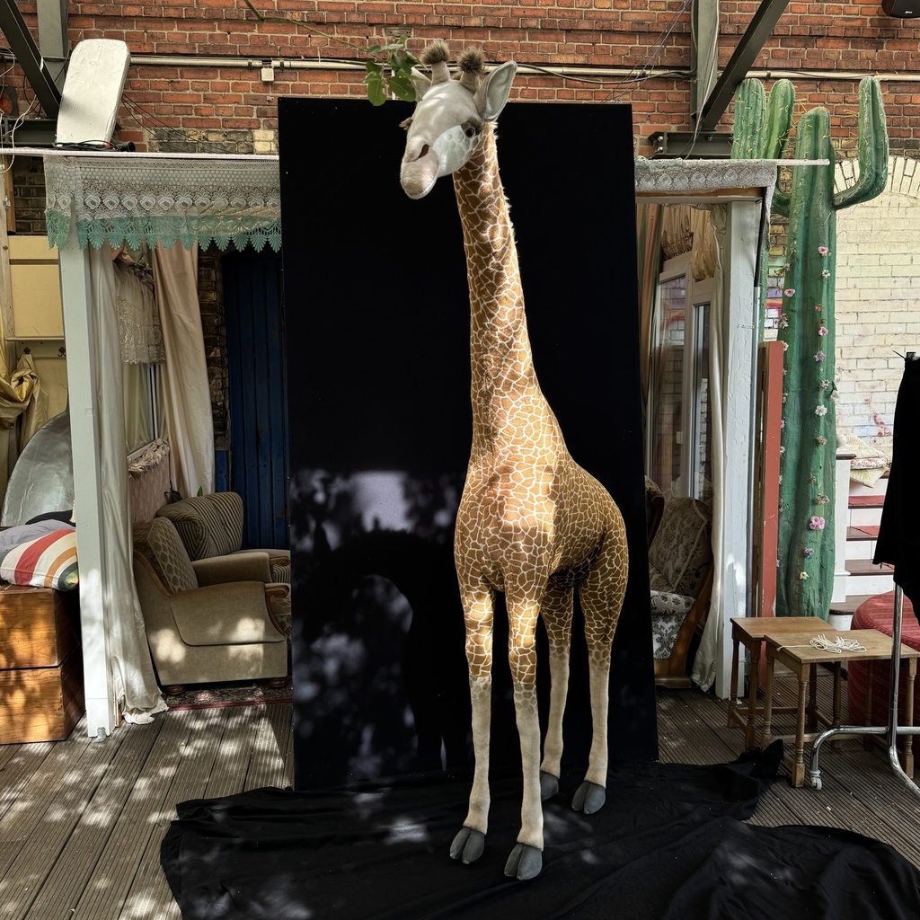 Miete - Alexandra die Giraffe