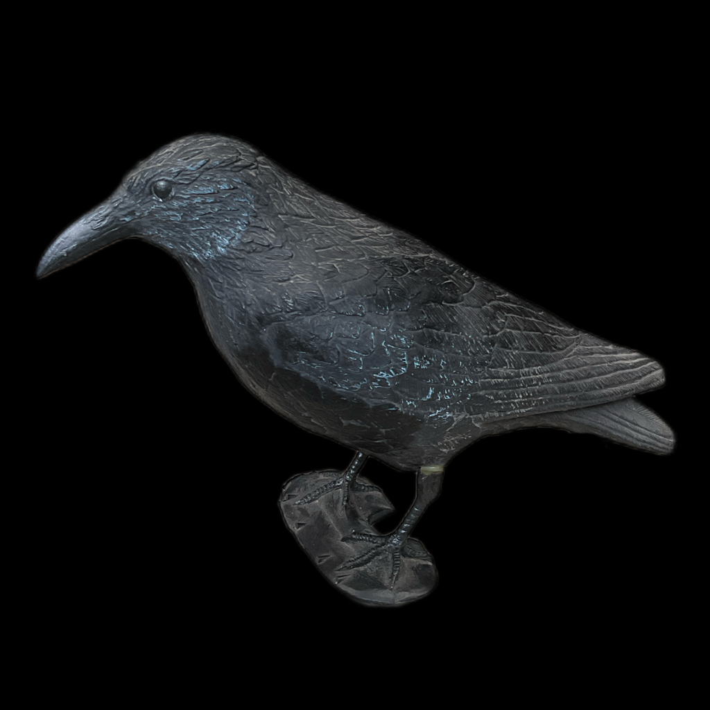 Krähe
