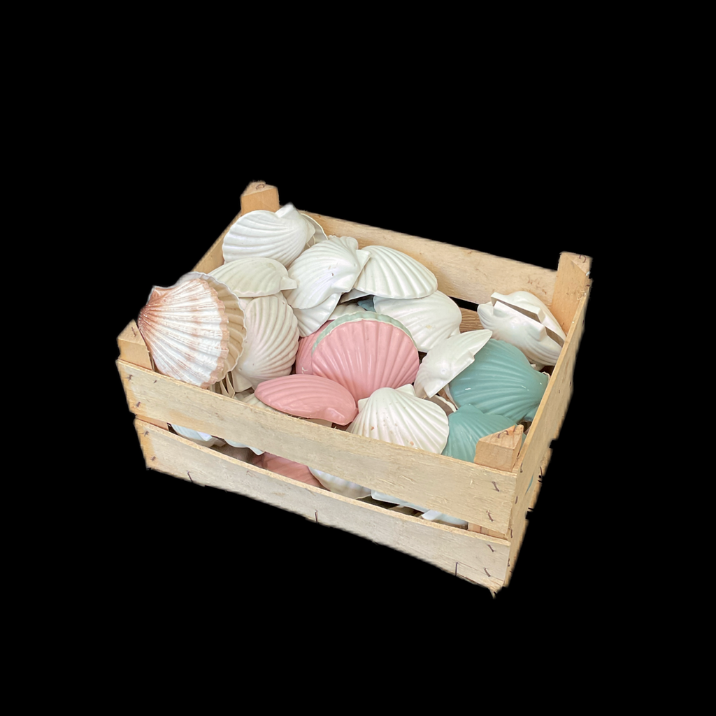Miete - div. Plastikmuscheln, Farben: Perlmutt, Rosa, Blau, Natur 