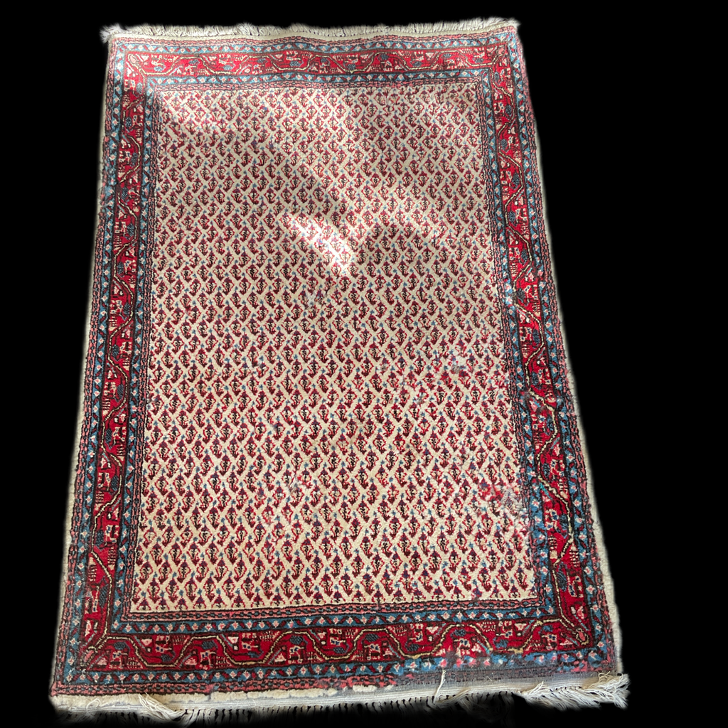 Orientalischer Teppich mit Fransen und Ornamenten