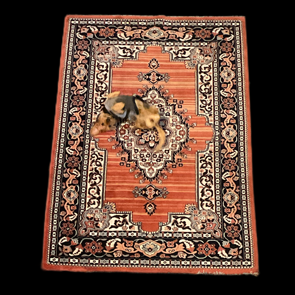 Kleiner Perserteppich 