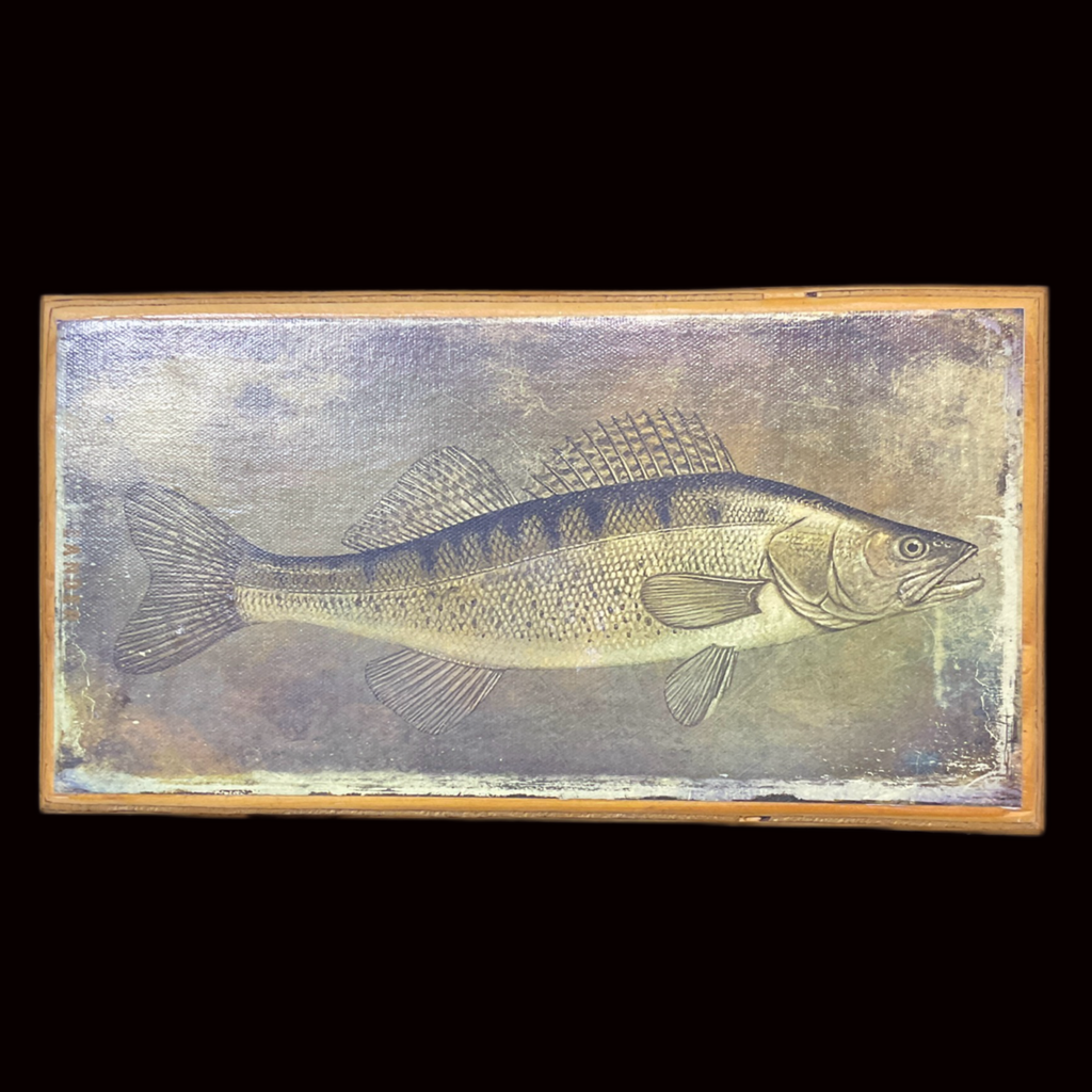 Miete - Zander Illustration mit Holzrahmen 
