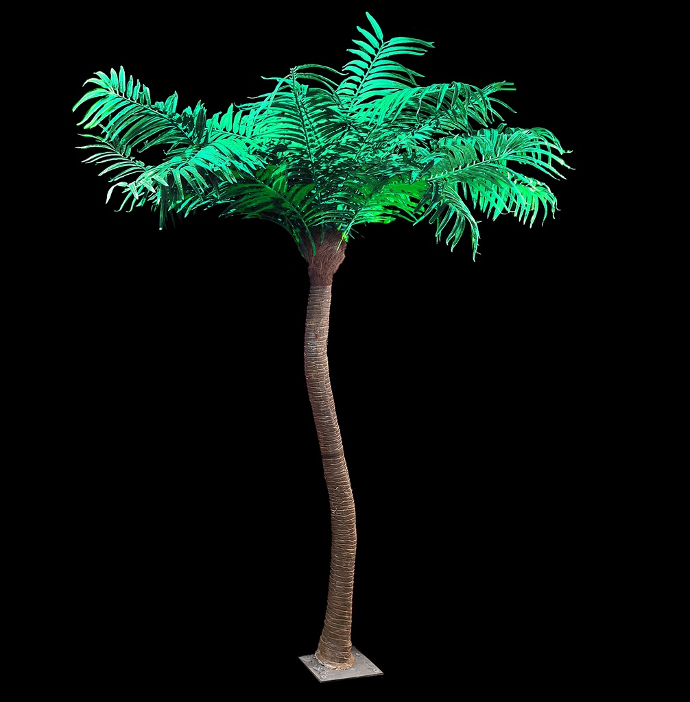 Miete - Palme