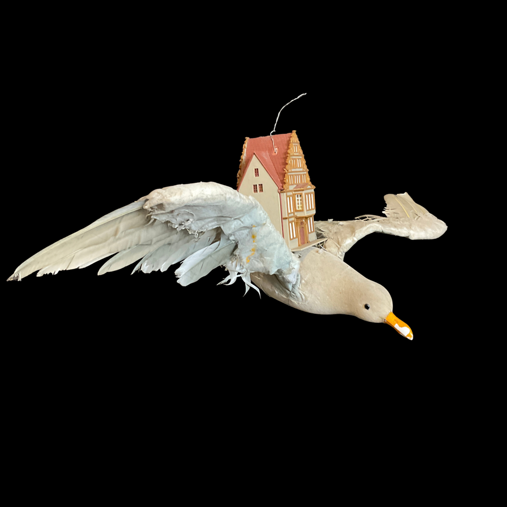 Miete - Möwe mit Haus