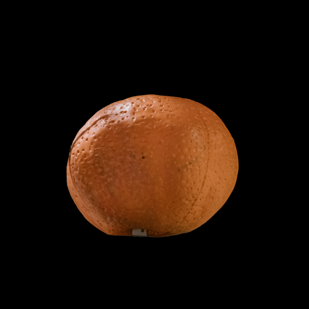 Miete - Riesen Mandarine