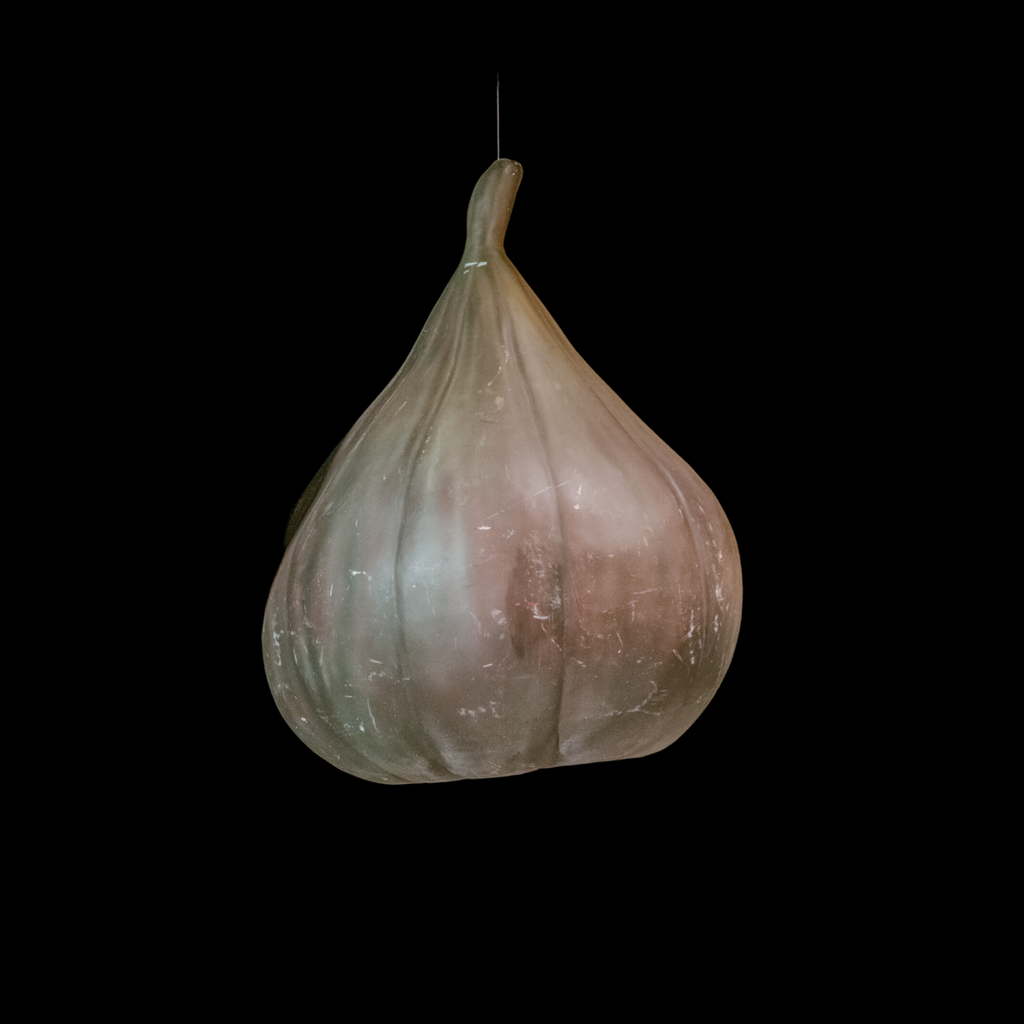Riesen Feige (geschlossen)