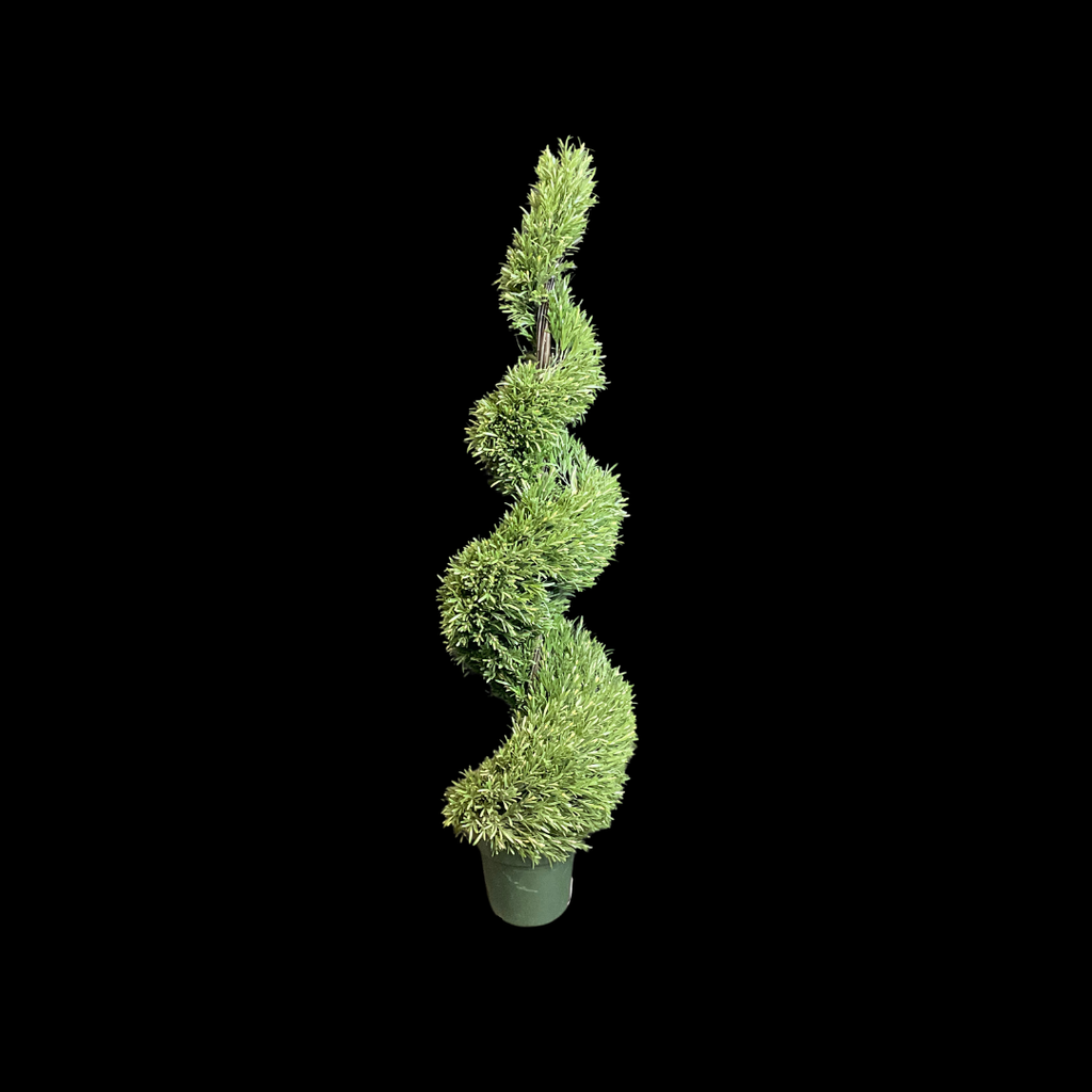 Miete - Spiralbaum