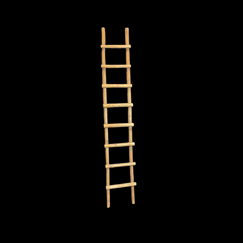 Sprossenleiter