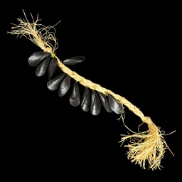 [MAR0176] Muschelkette