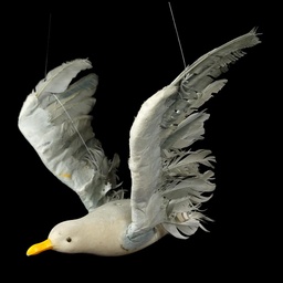 [MAR0211] grau weiße Möwe