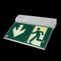 [REQ0133] grünes Schild Notausgang