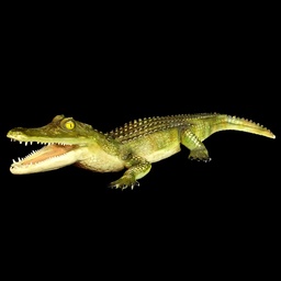 [KUL0037] Krokodil &quot;Hank&quot;