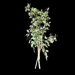 [PFL0051] Künstliche Ficus-Äste