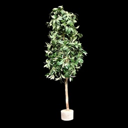 [PFL0058] Künstlicher Loorbeerbaum
