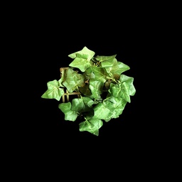 [PFL0069] kleine Efeu-Kachel