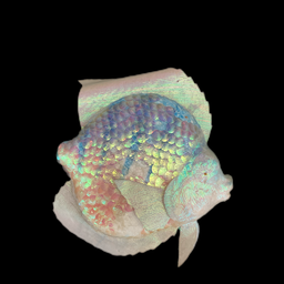 [MAR0239] Fisch aus Styropor