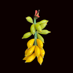 [REQ0409] Bananenstaude plastik