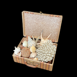 [MAR0255] div. Muscheln, Schneckenhäuser und weitere Meeresfrüchte, individuell zusammenstellbar