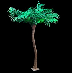 [KUL0099] Palme