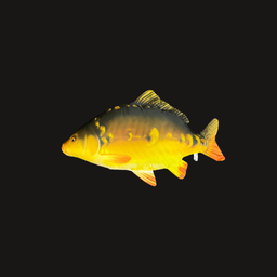 [MAR0312] Gelber Fisch-Kissen 