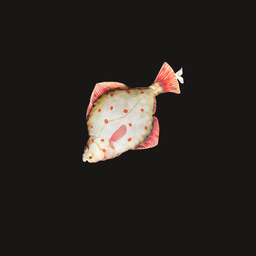 [MAR0317] Fischkissen Flunder 