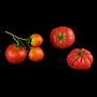 Kiste Kunst-Tomaten